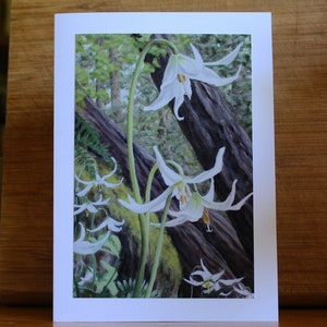 Forêt de lys, carte d'art impression photo avec enveloppe, image de fleurs sauvages de la Colombie-Britannique, carte de fête des mères, blanc à l'intérieur, carte d'anniversaire, carte de condoléances