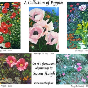 Une collection de coquelicots 5 cartes d'art, cartes avec impression photo, carte de fête des mères, fleurs de pavot, intérieur vierge, anniversaire, condoléances, peintures à l'huile