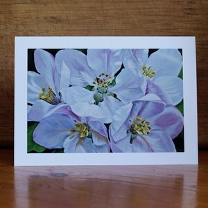 Oh pour être une pomme, carte d’art photo imprimée avec enveloppe, carte Apple Blossom, carte de fête des mères, carte d’anniversaire ou de condoléances, fleur en gros plan
