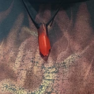 Puede incluir: Un collar con colgante rojo y cord&oacute;n oscuro. El colgante es de color rojo vibrante, con una forma ligeramente irregular. El collar se muestra sobre un fondo estampado.