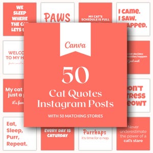 Puede incluir: Un gráfico rosa y blanco con el texto "Canva" y "50 frases de gatos para publicaciones de Instagram con 50 historias coincidentes". El gráfico está rodeado de cuadrados más pequeños con frases sobre gatos.