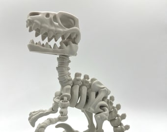 Articulated Raptor Skeleton | Dinosaur Skeleton | Flexible Fidget | 3D Printed Flexi
