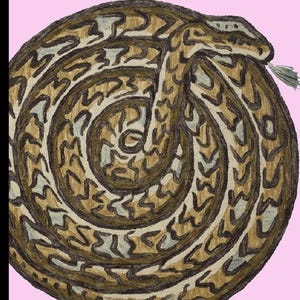 Op de afbeelding: Illustratie van een opgerolde slang met een bruin en tan patroon op een roze achtergrond. De kop van de slang is zichtbaar aan de bovenkant en een klein plukje groen bevindt zich in de buurt van zijn bek. De slang heeft een cirkelvorm.