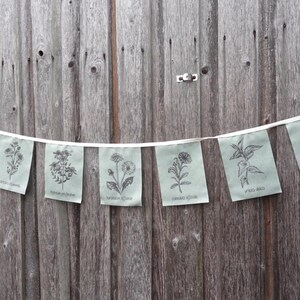 May include: A string of light green fabric flags with black illustrations of different flowers and the Latin names for each flower printed on each flag.