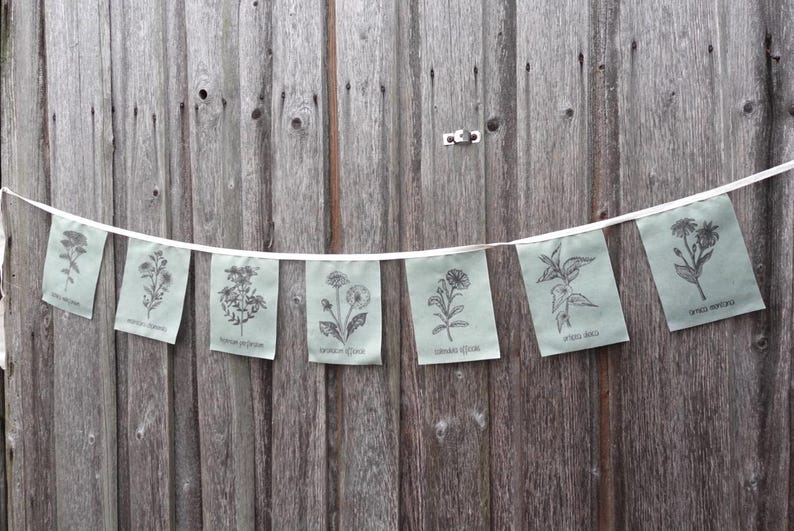 May include: A string of light green fabric flags with black illustrations of different flowers and the Latin names for each flower printed on each flag.