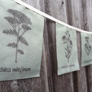 May include: A string of green paper flags with black line drawings of different types of flowers. The flags are strung on a white cord and are hanging on a wooden fence. The text on the flags reads "achillea millefolium" and "tanacetum vulgare".