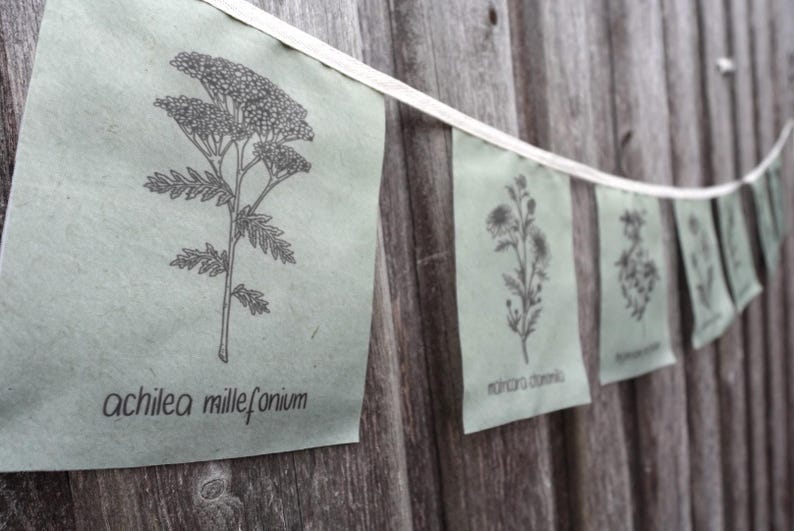 May include: A string of green paper flags with black line drawings of different types of flowers. The flags are strung on a white cord and are hanging on a wooden fence. The text on the flags reads "achillea millefolium" and "tanacetum vulgare".