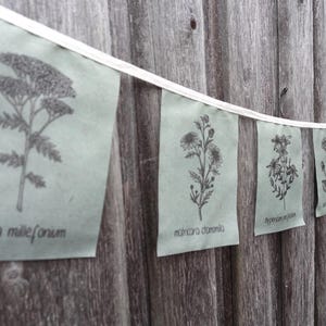 May include: A string of green fabric flags with black illustrations of different types of flowers and their names. The flags are hung on a wooden fence. The names of the flowers are "achillea millefolium", "matricaria chamomilla", "pyrethrum parthenium", "achillea ptarmica", and "tanacetum vulgare".
