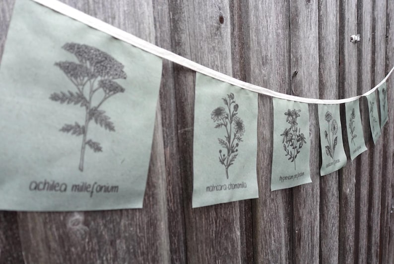 May include: A string of green fabric flags with black illustrations of different types of flowers and their names. The flags are hung on a wooden fence. The names of the flowers are "achillea millefolium", "matricaria chamomilla", "pyrethrum parthenium", "achillea ptarmica", and "tanacetum vulgare".