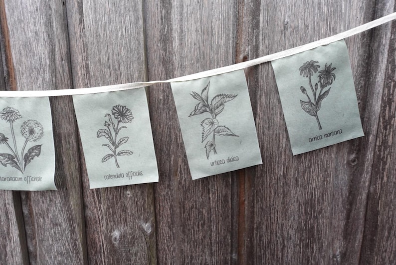 May include: A string of five flags with botanical illustrations and names. The flags are white with black ink and are strung on a white ribbon. The flags feature illustrations of dandelion, calendula, vinca, and cornflower.