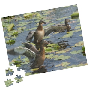 Puede incluir: Un rompecabezas que representa una escena de estanque serena con tres patos. Los patos son marrones con las alas extendidas, rodeados de nenúfares. El rompecabezas está parcialmente ensamblado, con algunas piezas sueltas.