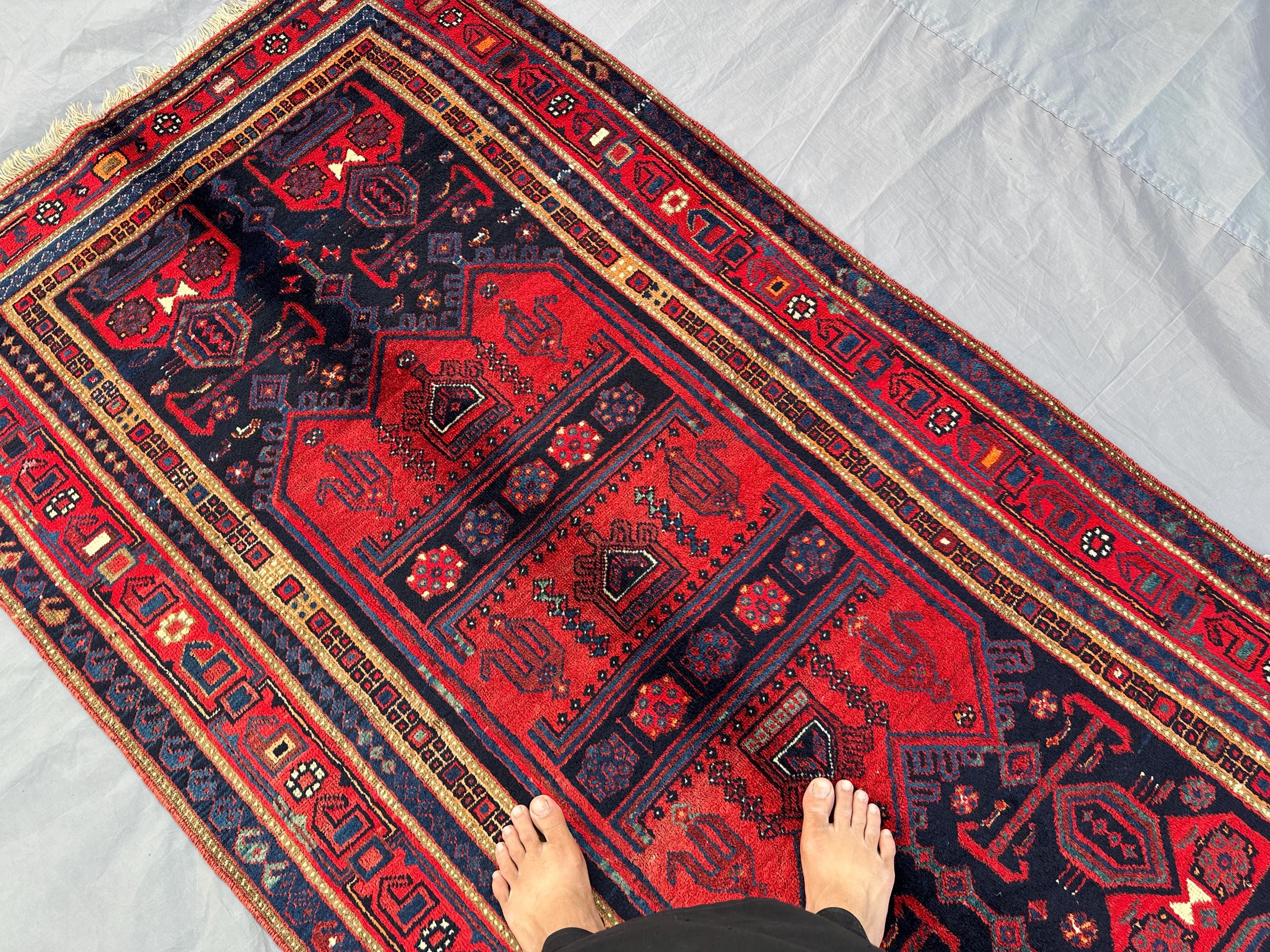 Sistan Rug - Etsy