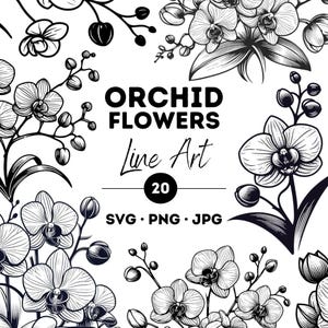 Orchid Flower SVG Bundle, Line Art Orchid Clipart, Floral Orchid SVG and PNG, Orchid Silhouette and Vector Art