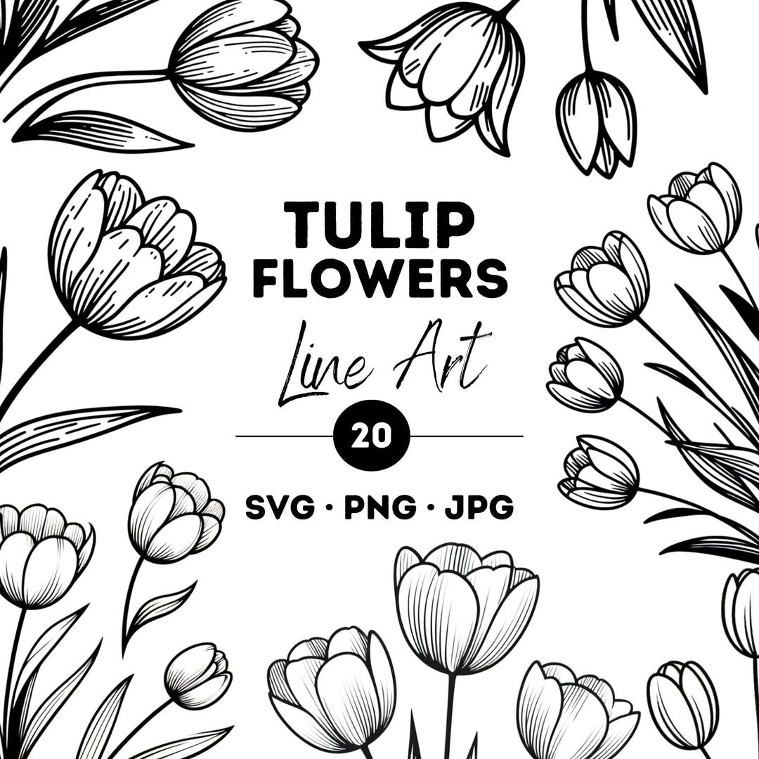 Tulip Line Art Bundle: Minimalist Floral SVG, PNG, JPG (digital ...