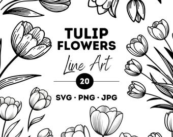 Tulpe Line Art Bundle: Minimalistisches Blumen SVG, PNG, JPG (Digital Download)