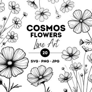 Könnte beinhalten: Ein Set mit 20 Schwarzweiß-Linienzeichnungen von Kosmosblumen. Die Illustrationen sind in einem einfachen, minimalistischen Stil gehalten und eignen sich perfekt für den Einsatz in digitalen oder Druckprojekten. Der Text "COSMOS FLOWERS Line Art 20 SVG. PNG. JPG" ist im Bild enthalten.