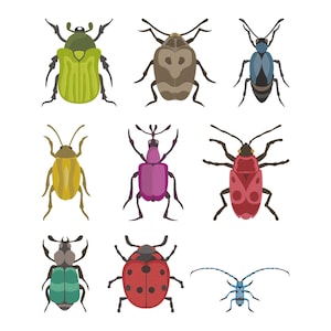 May include: A collection of nine colorful insect illustrations. The insects vary in shape and color, including green, brown, blue, yellow, pink, and red. Some have spots or patterns, and all have detailed legs and antennae.