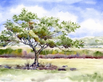 May include: Watercolor painting of a lone tree in a field with a blue sky and white clouds. The tree has a thick trunk and branches with green leaves. The field is a light green color with a few brown bushes in the background. The sky is a light blue color with white clouds.
