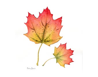 Two Maple Leaves watercolor painting ~ Original watercolor of 2 maples in autumn colors