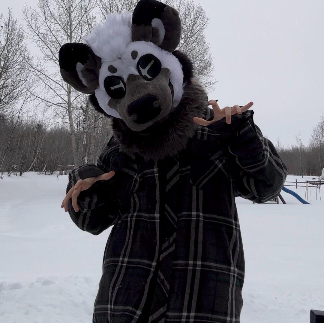 Normal Fursuit Custom Fursuit Commission- Head, Mini Partial, Partial, Handpaw, Tail ...