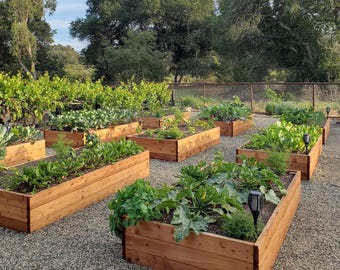Progetto fai da te per aiuola rialzata – Fioriera in legno per ortaggi da utilizzare in giardino o nell'orto