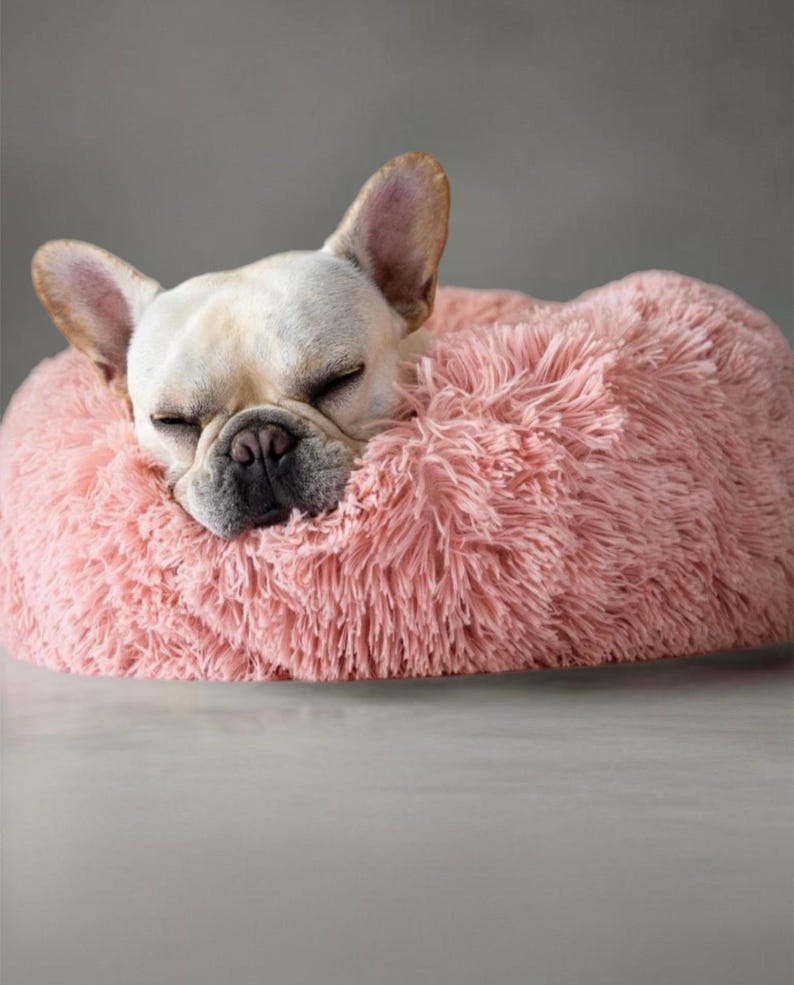 May include: A small, white French bulldog dog is sleeping in a pink fluffy dog bed.
