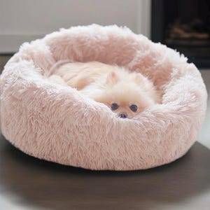 May include: A fluffy pink dog bed with a small dog curled up inside. The bed is made of soft, plush material and has a raised rim for comfort.