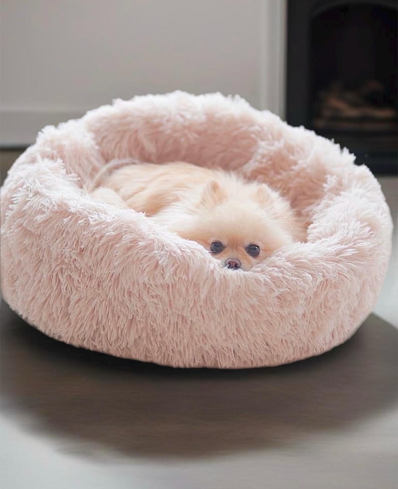 May include: A fluffy pink dog bed with a small dog curled up inside. The bed is made of soft, plush material and has a raised rim for comfort.