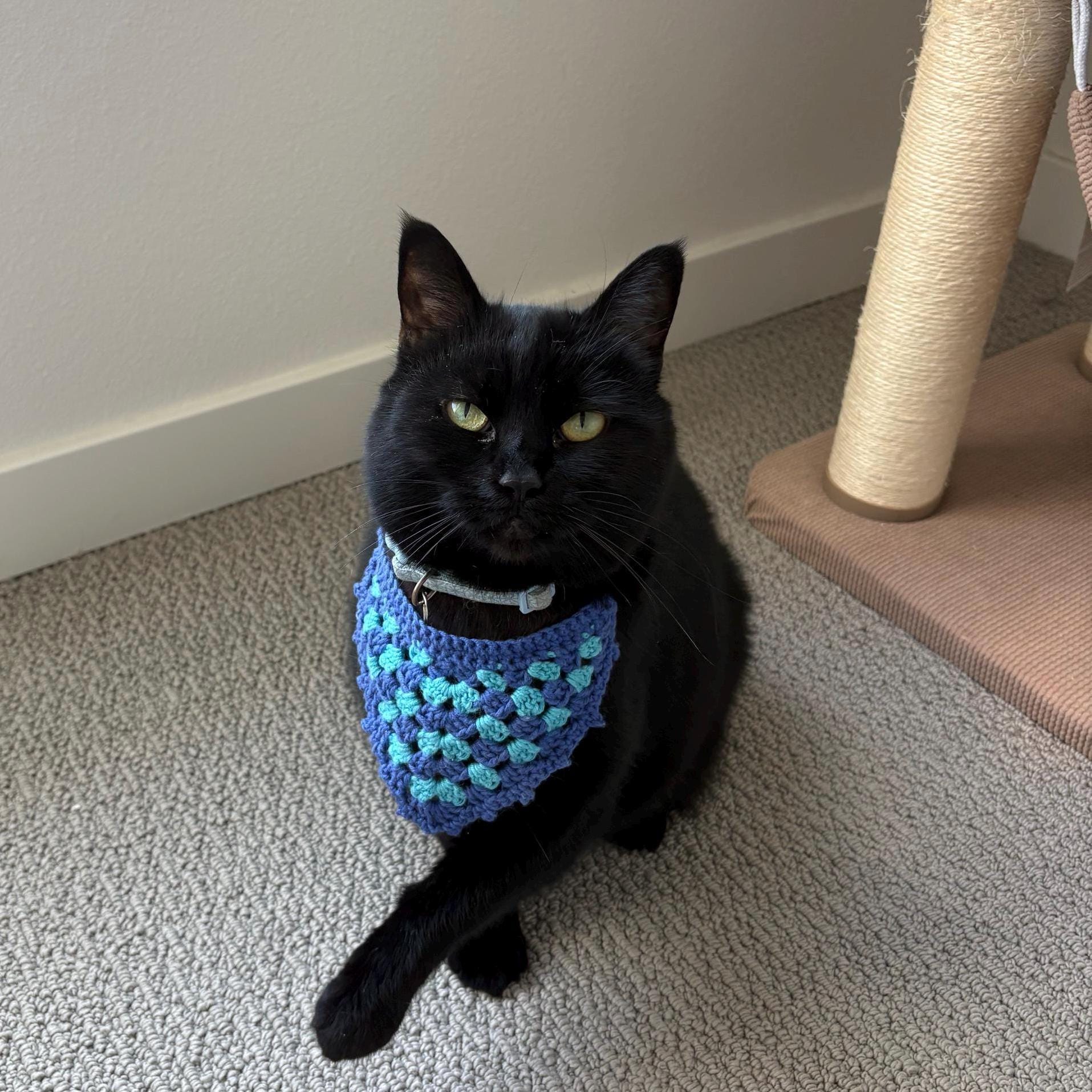 Gehaakte bandana The Pet Adventure • AANGEPASTE BESTELLING