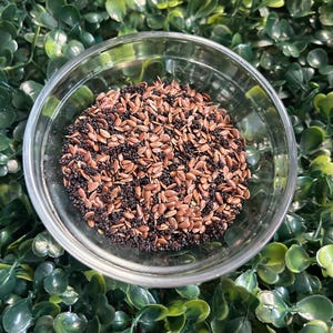 flax and poppy seed mix for hermit crabs