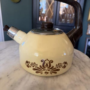 May include: Cream-colored vintage tea kettle with a brown handle, lid, and spout. The kettle features a brown floral design on the front. The handle is arched, and the spout has a silver accent. A classic kitchenware item.