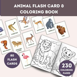 Animal Flashcards, Printable Flashcards, Preschool Flashcards, Toddler Flashcards, Baby Flashcards, Animal Cards Set, Flashcards PDF