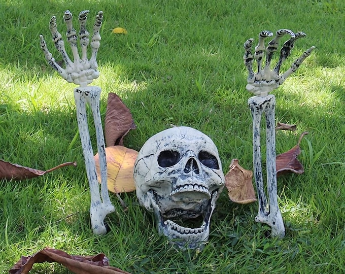 3-Pack Realistic Skull Ornaments – Decorative Skeleton Heads for Bedroom, Office, or Indoor/Outdoor Spaces