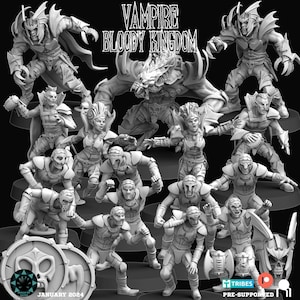 Vampire Bloody Kingdom Fantasy Football 3D-geprinte miniaturen