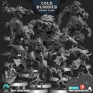 Può includere: Una collezione di miniature fantasy grigie stampate in 3D. Le figure raffigurano varie creature simili a lucertole, tra cui guerrieri e esseri più piccoli, simili a camaleonti. Il testo "COLD BLOODED LIZARD TEAM" è visualizzato in alto.