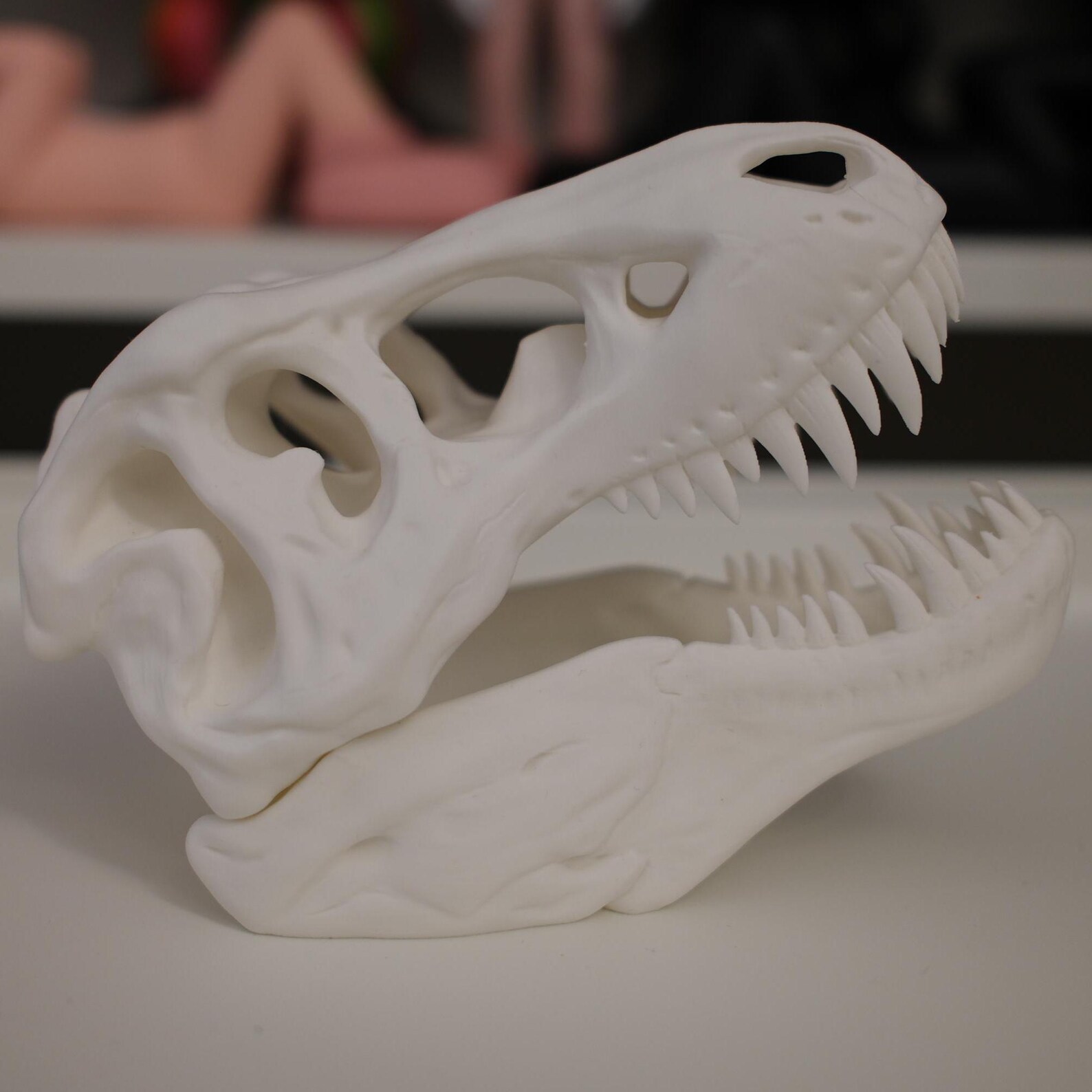 3D Printed Dinosaur Skull - Etsy