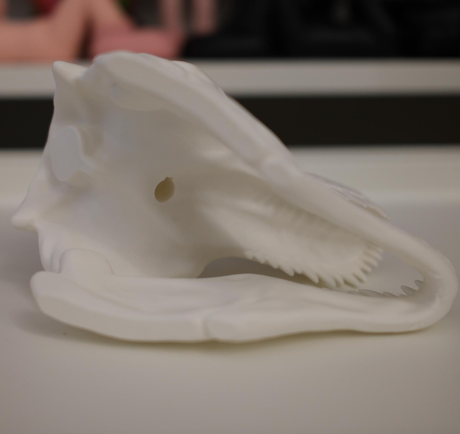 3D Printed Dinosaur Skull - Etsy