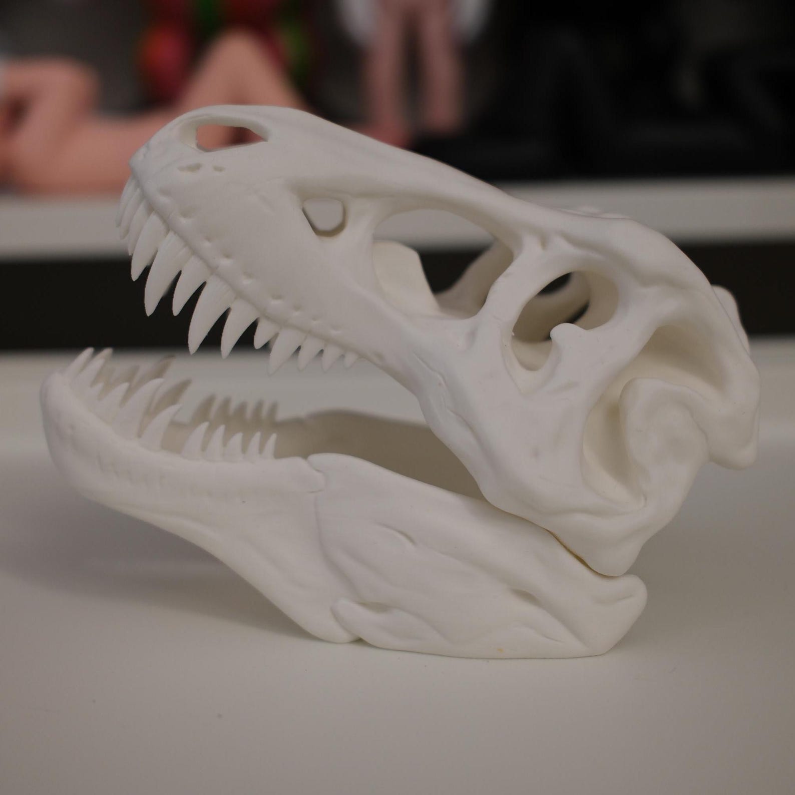 3D Printed Dinosaur Skull - Etsy