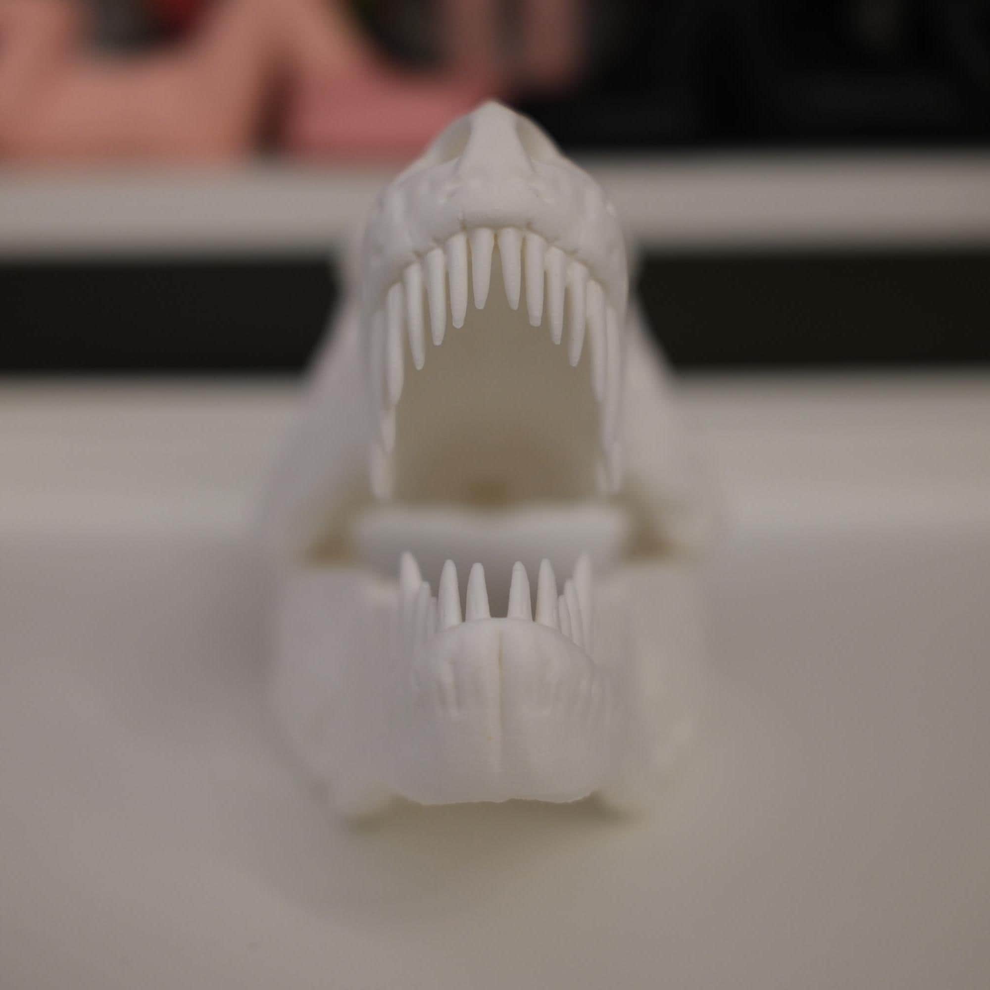 3D Printed Dinosaur Skull - Etsy