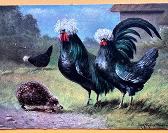 Vintage Easter Greeting Postcard, Card, Chickens, Hedgehog