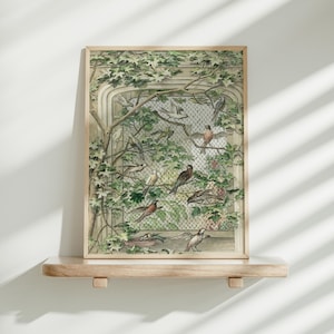 Stampa artistica di Bird Garden, decorazione da parete con voliera incorniciata, opera d'arte serena per osservare gli uccelli, regalo per gli amanti della natura, arte botanica della fauna selvatica, fogliame recintato