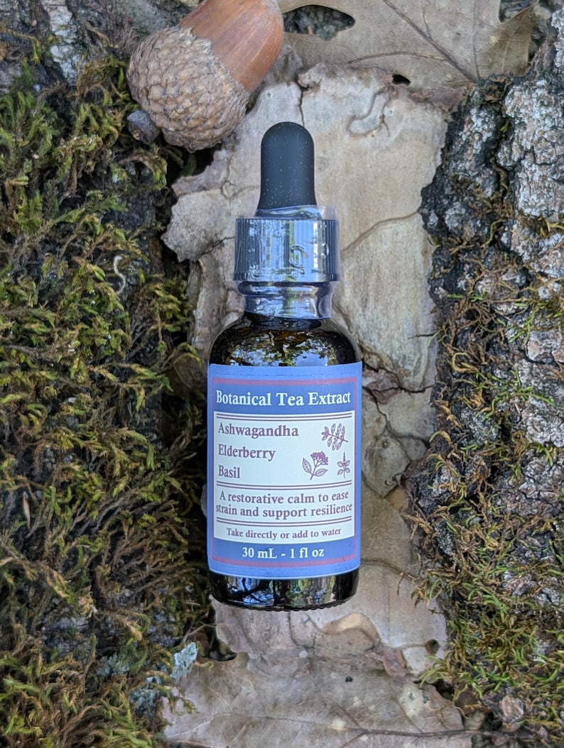 May include: A dark glass bottle of botanical tea extract with a black dropper. The label reads "Ashwagandha Elderberry Basil" and "30 mL - 1 fl oz." The bottle is on a bed of moss and leaves, with an acorn in the background.