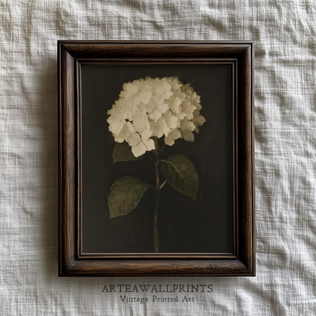 Vintage White Hydrangea Wall Art Print – Dark Floral Still Life ...