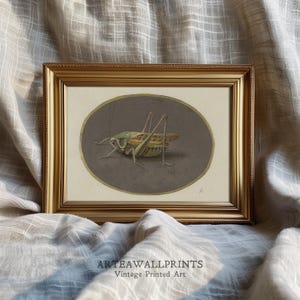 Vintage Grasshopper Art Print: Antique Entomology Illustration (Digital Download)