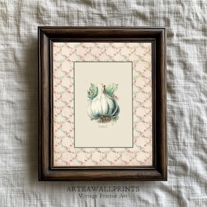 Vintage Garlic Botanical Print: French Country Kitchen Art (Digital Download