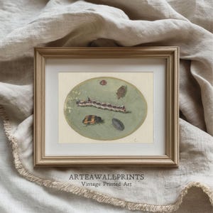 Vintage Insect Print: Botanical Wall Art, Cottagecore Decor (Digital Download