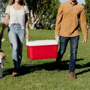 May include: A family strolls across a grassy field, carrying a red and white cooler. A dog on a lead walks with them. The adults are dressed casually, and a child runs ahead. The image suggests a picnic or outdoor activity.