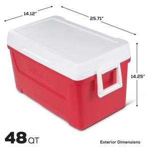 May include: A white ceramic mug with a black handle and the text "But First, Coffee" in a bold, black font. The mug is set against a blurred background, suggesting a cosy setting.