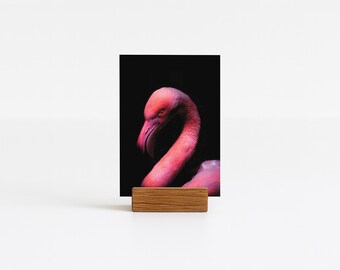 Impresión mini de flamenco / Retrato A6 - Fotografía artística, calidad de archivo, ecológica, fabricada en el Reino Unido