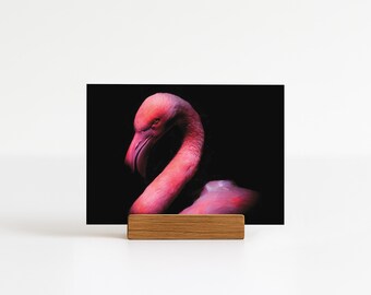 Impresión mini de flamenco (A6, horizontal): fotografía artística, calidad de archivo, ecológica, fabricada en el Reino Unido